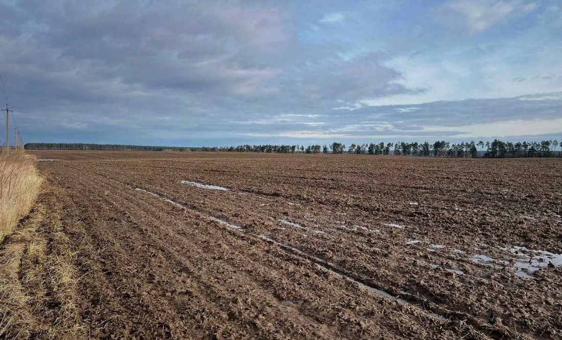 Чоловік другий рік чекає орендну виплату за пай. Коли заплатять?