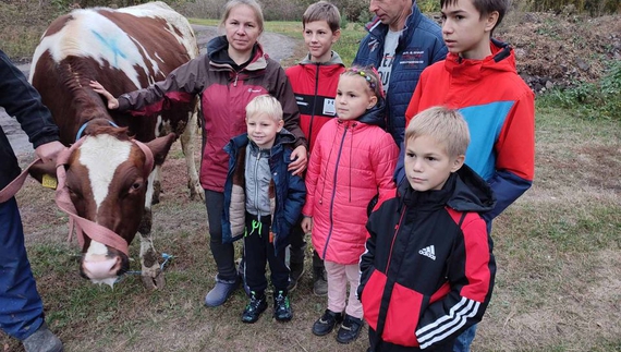 Двом багатодітним родинам подарували нетелей