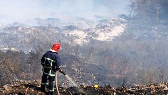 Лише за 1 тиждень червня на Чернігівщині напалили зо два десятки пожеж. Екологи бʼють на сполох