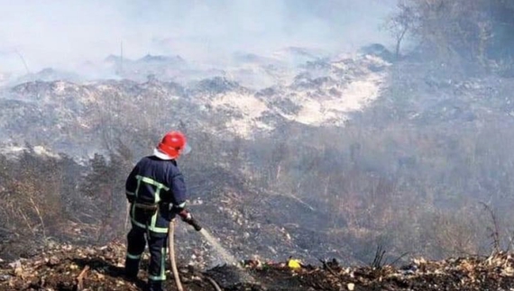 Лише за 1 тиждень червня на Чернігівщині напалили зо два десятки пожеж. Екологи бʼють на сполох