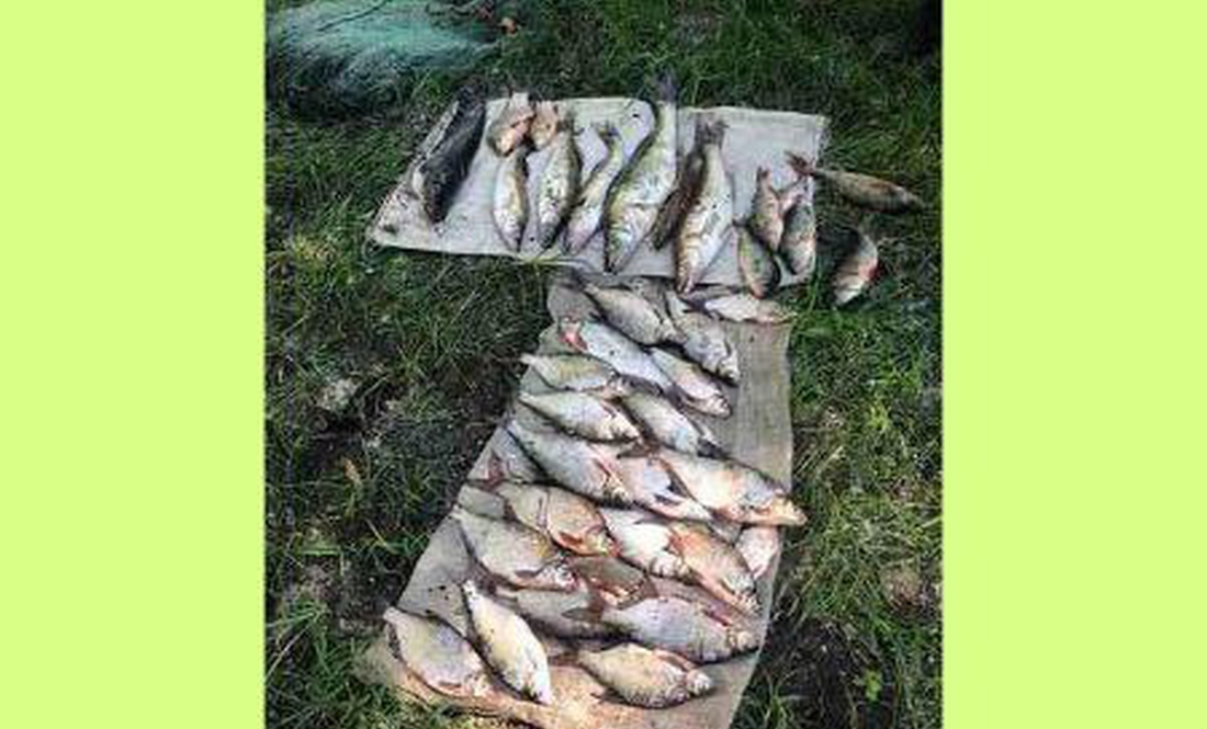 Наловив риби на 80 тисяч гривень: на Чернігівщині затримали браконьєра