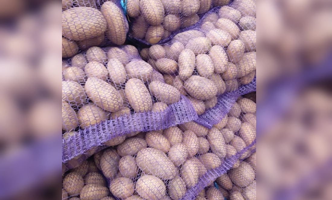 «Курс» картоплі впав. У кого є, чекають весни