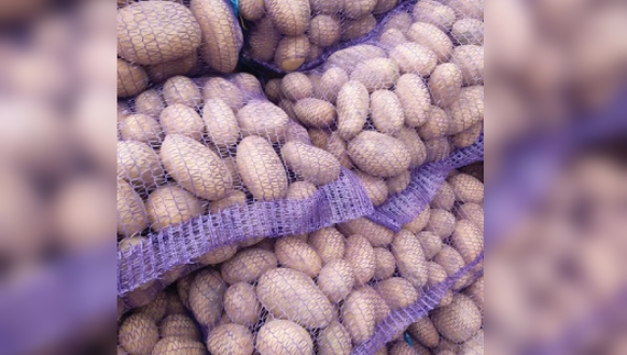 «Курс» картоплі впав. У кого є, чекають весни