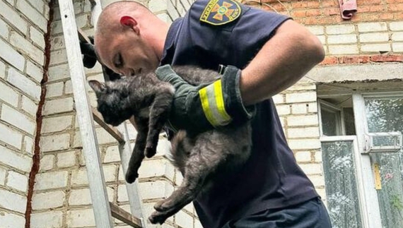 Рятувальник Дмитро Любочка зносить по драбині з балкона кішку Мурку
