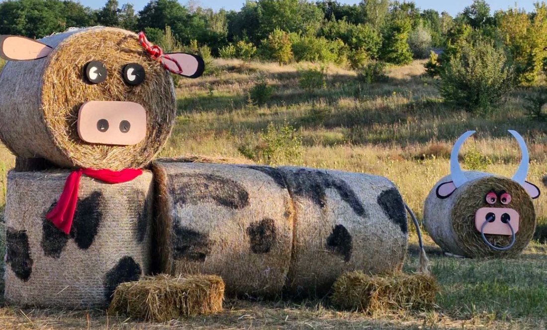 Вірусна фотозона у Манжосівці тішитиме відвідувачів до середини вересня