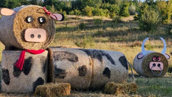 Вірусна фотозона у Манжосівці тішитиме відвідувачів до середини вересня