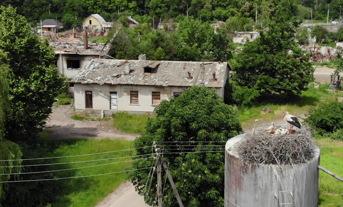 У передмісті Чернігова не підлягає відновленню більшість будинків