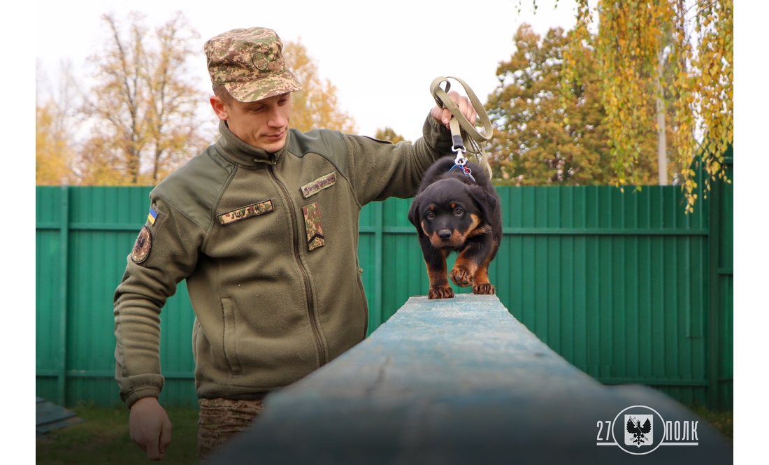 У чернігівських кінологів - дуже миле поповнення