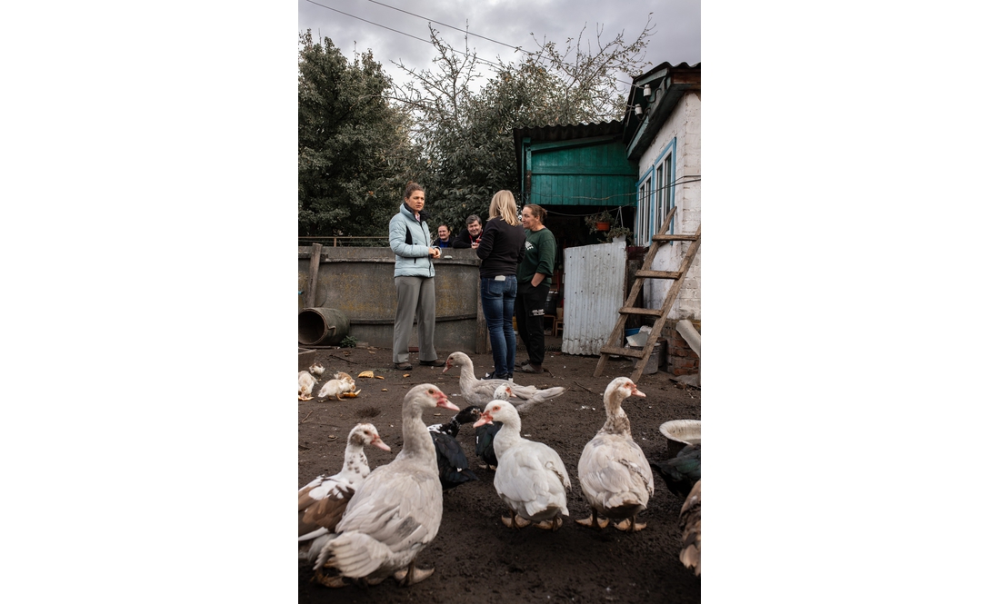 Утримують птицю і кіз: як родина переселенців із Донеччини облаштовує побут на Чернігівщині