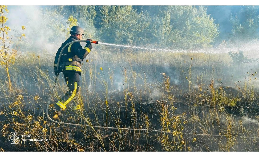 Через збиті безпілотники горіли поля та ліс