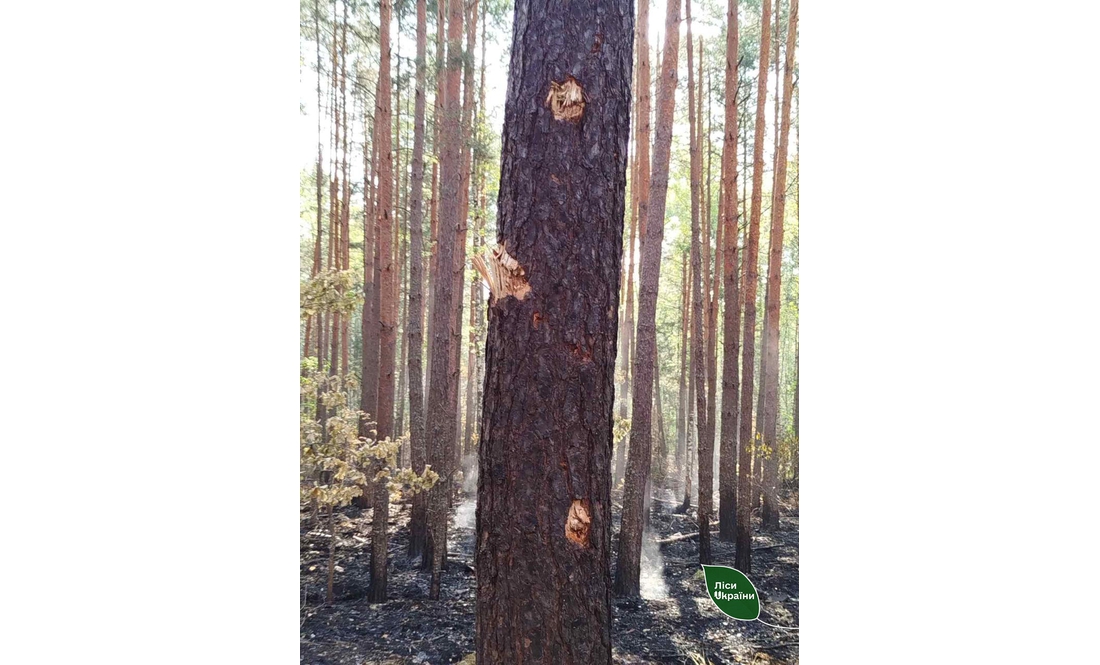 Через ворожий приліт горіло 2 гектари лісу