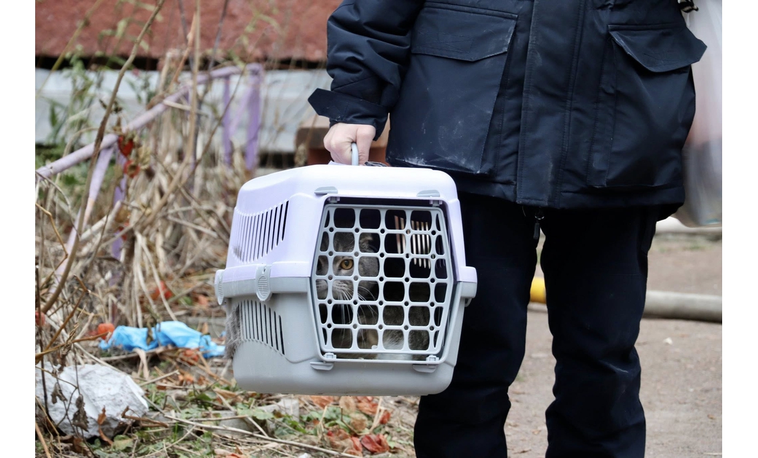 "Люди були вдома": яка ситуація на місці влучання ворожого БпЛА в 5-поверхівку в Чернігові