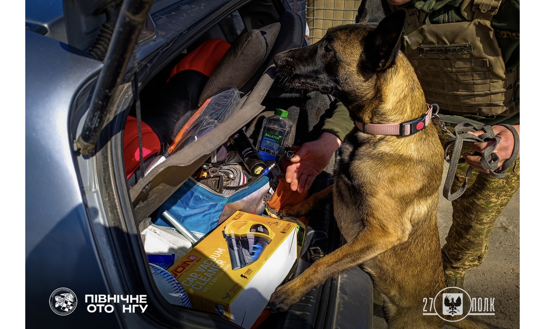 Гвардійці показали своїх чотирилапих напарників: як служать на Чернігівщині