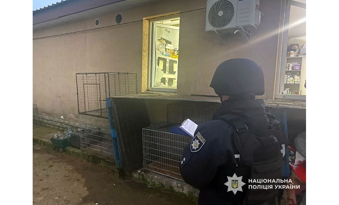 Російська атака забрала життя собаки: у Чернігові вдарили по підприємству для тварин