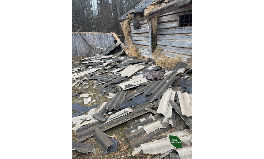 Росіяни атакували мисливський будиночок на Чернігівщині
