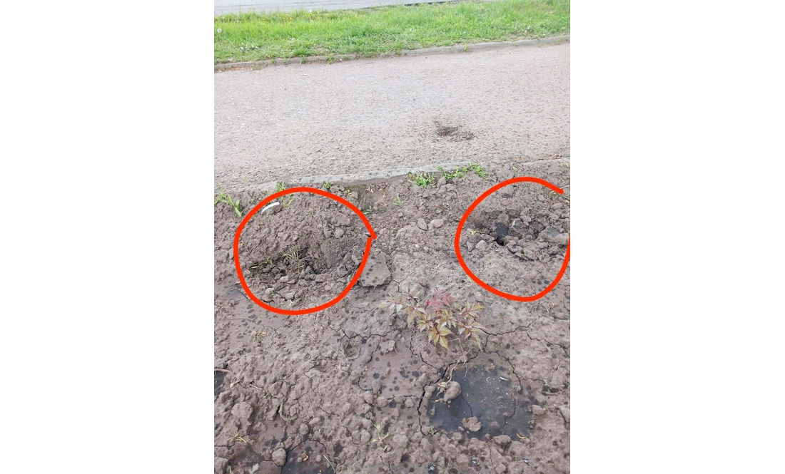 У громаді покрали квіти з клумби