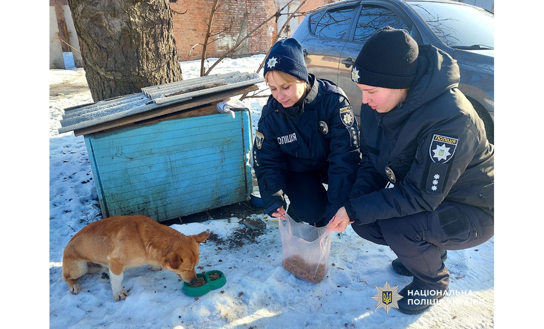 Безпритульним тваринам пережити морози допомагають… поліціянти