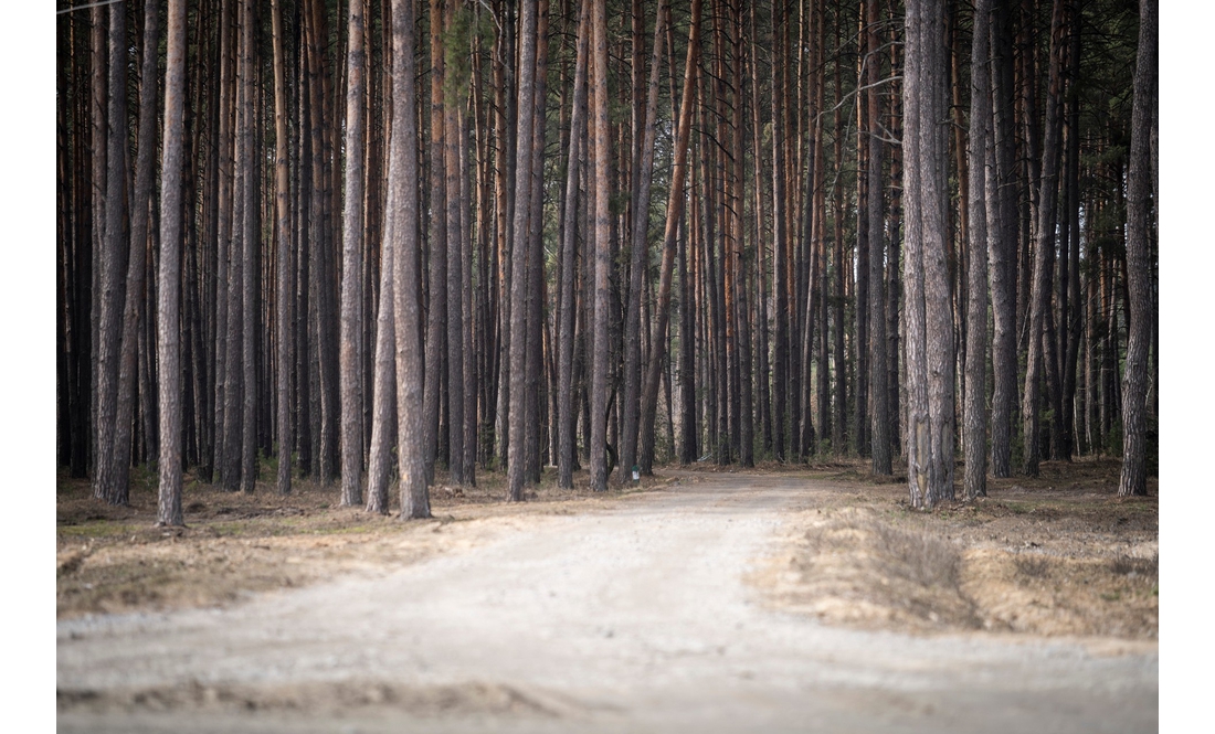 Міністр дивився, як працює найбільший в Україні лісовий селекційно-насіннєвий центр на Чернігівщині