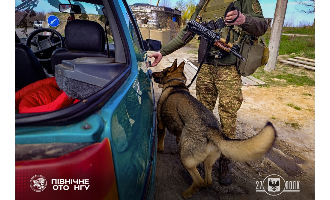 Гвардійці показали своїх чотирилапих напарників: як служать на Чернігівщині