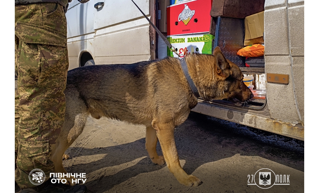 Гвардійці показали своїх чотирилапих напарників: як служать на Чернігівщині