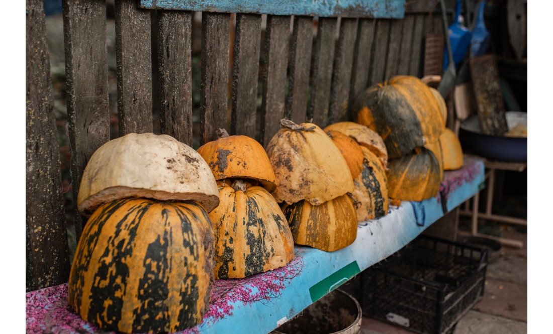 Утримують птицю і кіз: як родина переселенців із Донеччини облаштовує побут на Чернігівщині