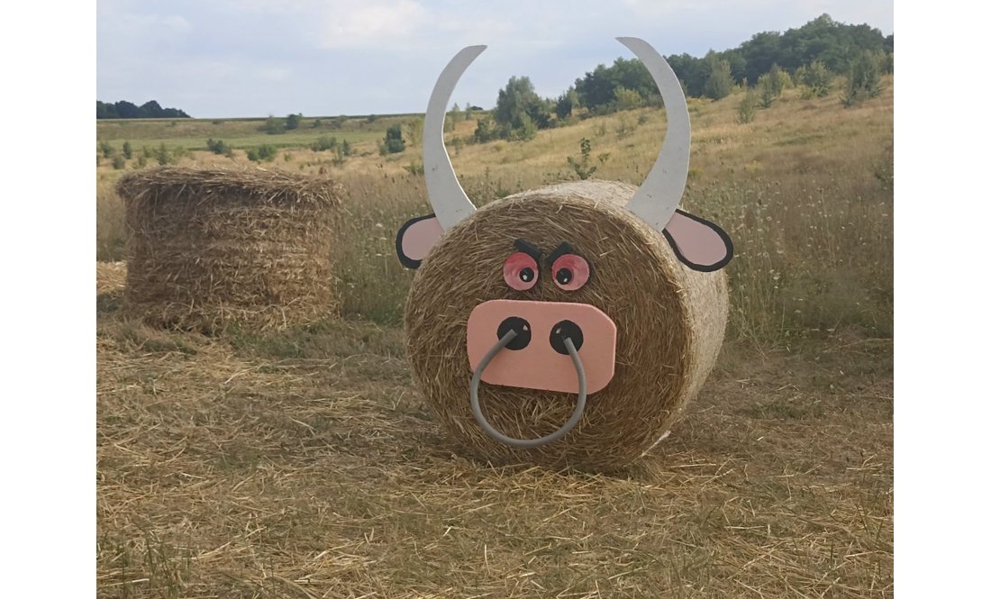 Вірусна фотозона у Манжосівці тішитиме відвідувачів до середини вересня