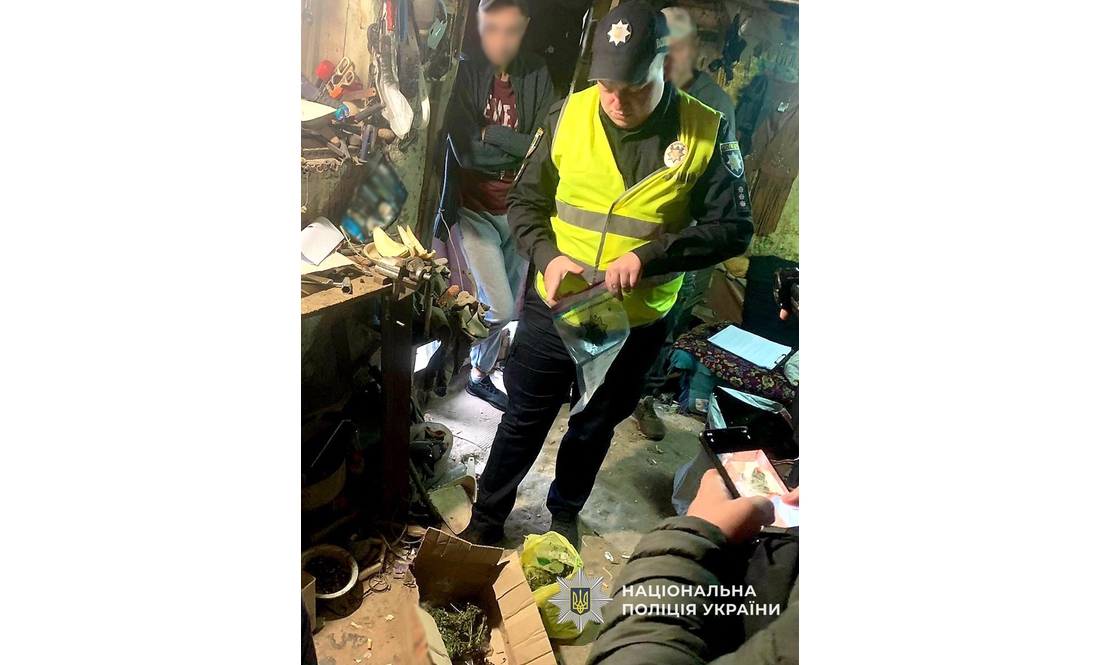 На Чернігівщині вилучили півсотні кущів конопель та кілограм канабісу