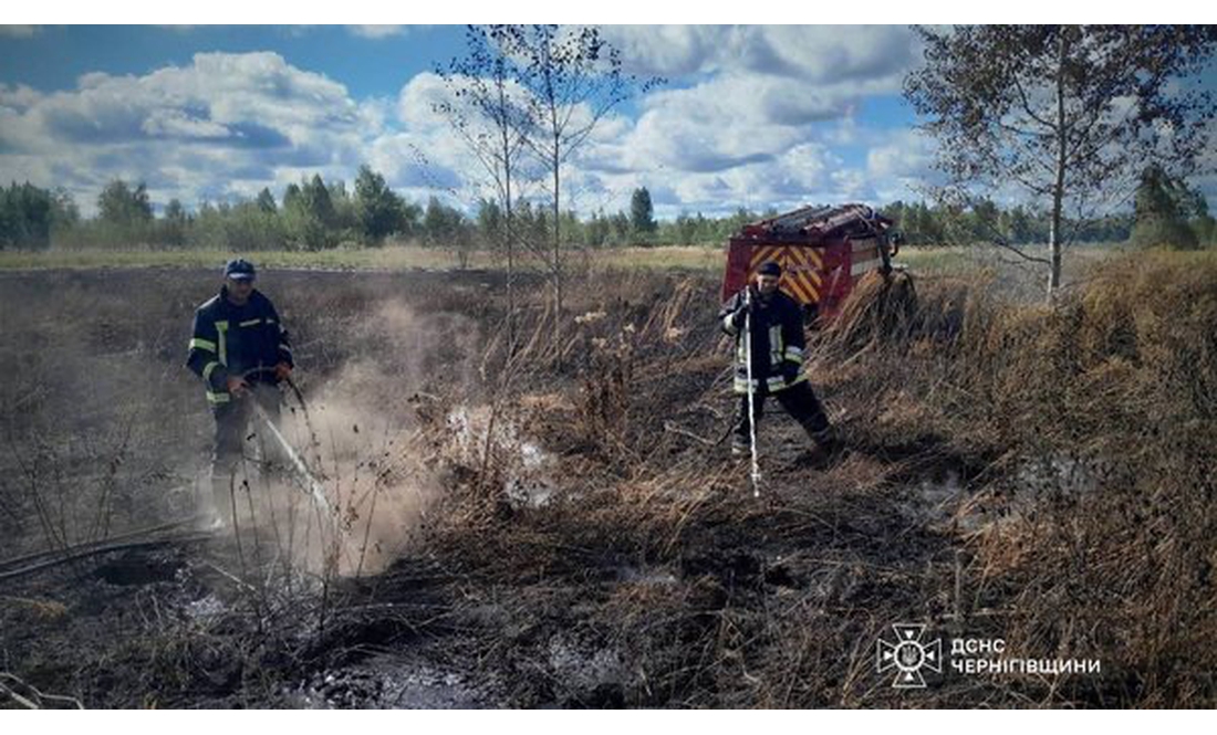 25 рятувальників гасять пожежу на торф'яниках у Чернігівському районі