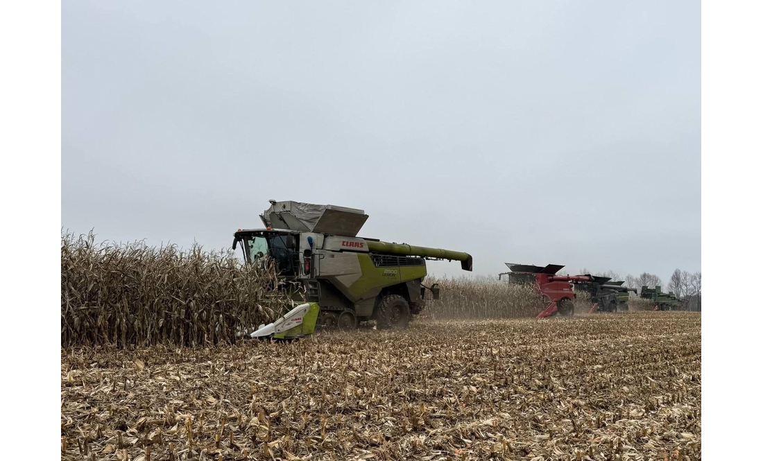 Кукурудзяний рекорд встановило підприємство з Чернігівщини