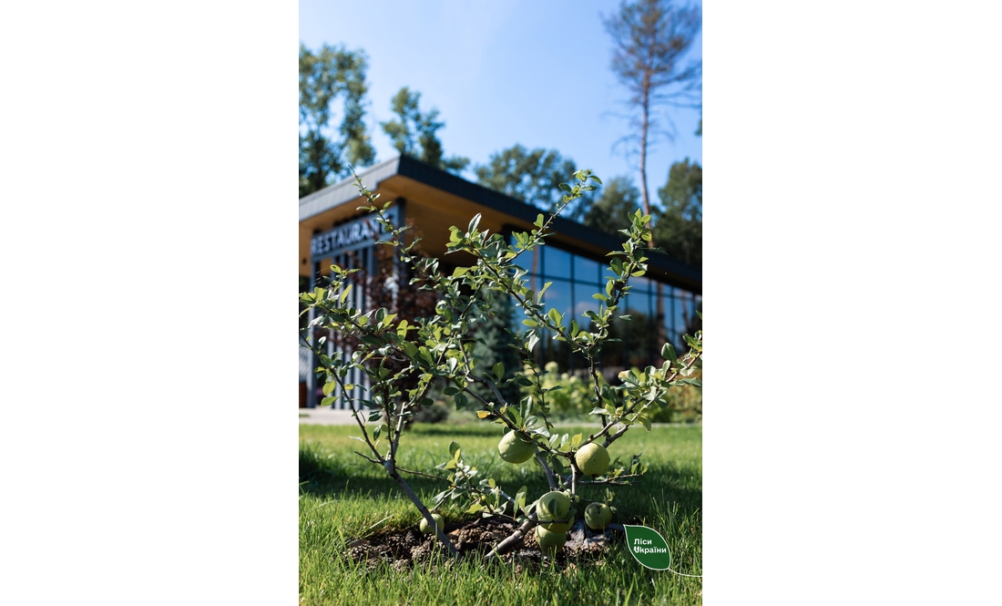 Чернігівський лісовий осередок першим в Україні отримав важливу відзнаку