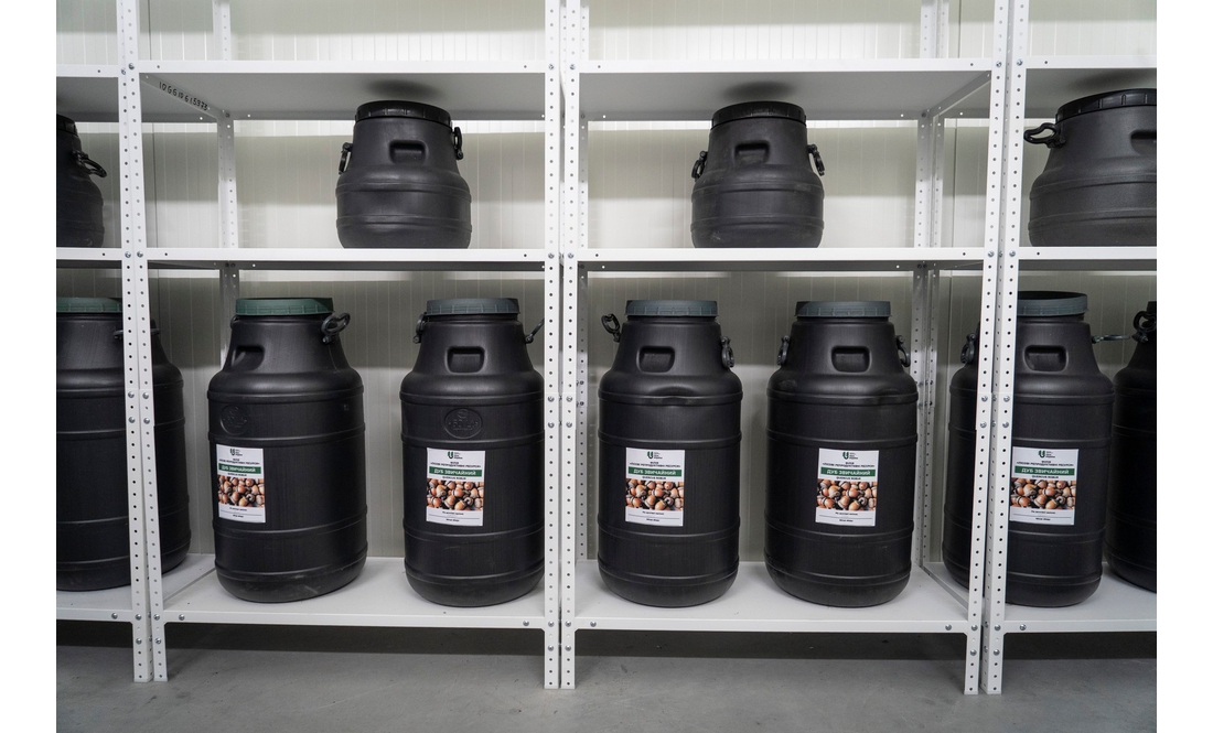 Міністр дивився, як працює найбільший в Україні лісовий селекційно-насіннєвий центр на Чернігівщині