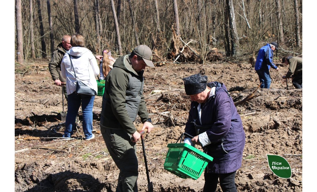 На честь полеглого воїна на Чернігівщині висадили ліс