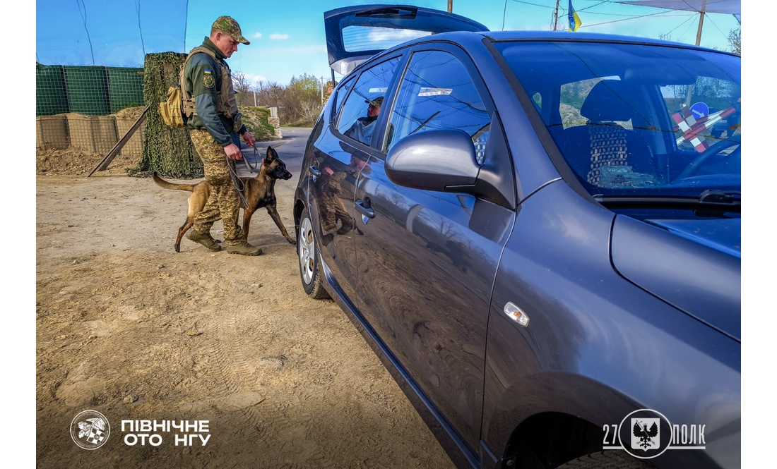 Гвардійці показали своїх чотирилапих напарників: як служать на Чернігівщині