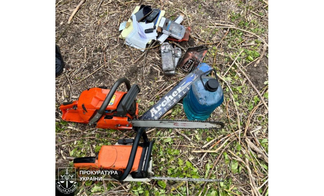 На Чернігівщині судитимуть учасників ОЗГ за незаконну порубку дерев на майже 5,5 млн грн