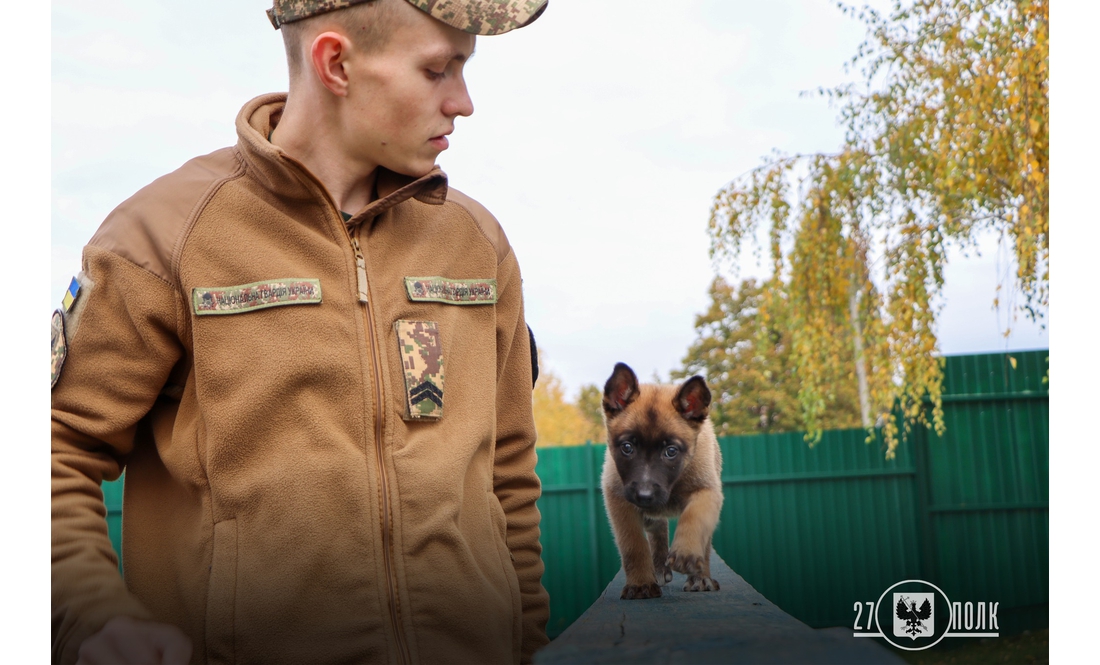 У чернігівських кінологів - дуже миле поповнення