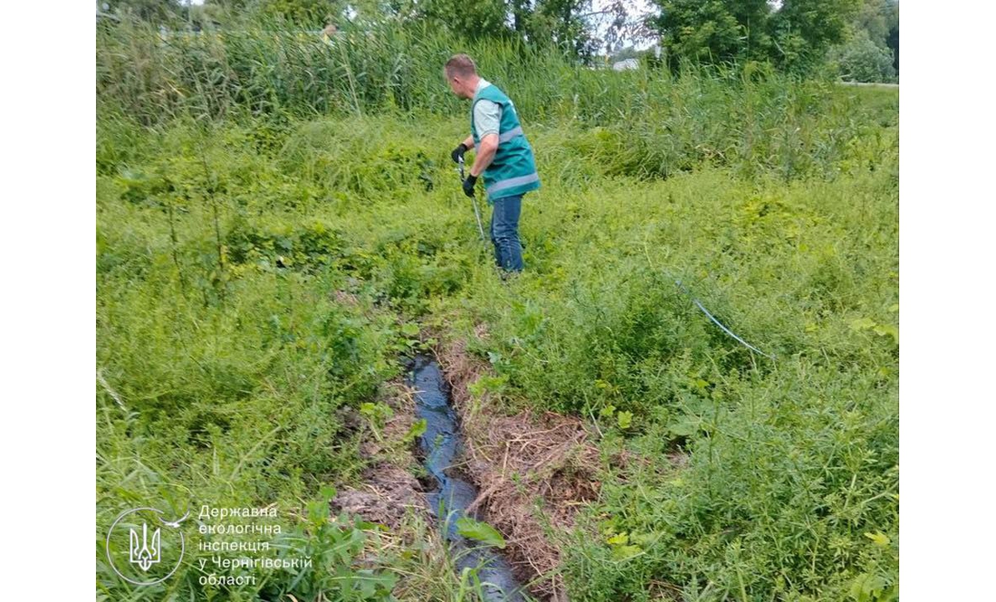 На Чернігівщині зафіксували забруднення річки — шукають винних