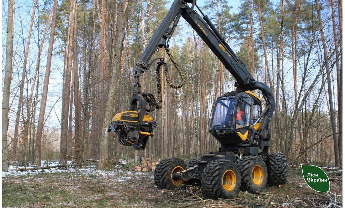 Як у Фінляндії і Швеції: на Чернігівщині заготовляє ліс харвестер і форвардер