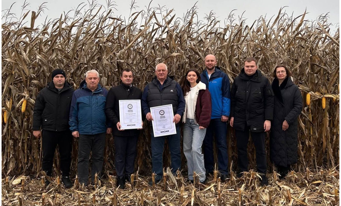 Кукурудзяний рекорд встановило підприємство з Чернігівщини