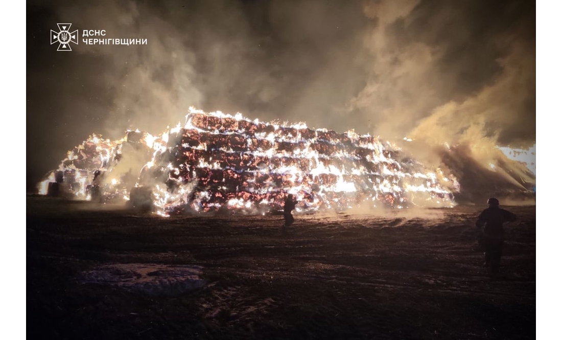 Старостат, лісництво, ферма і "критичка": ворог атакував Чернігівщину