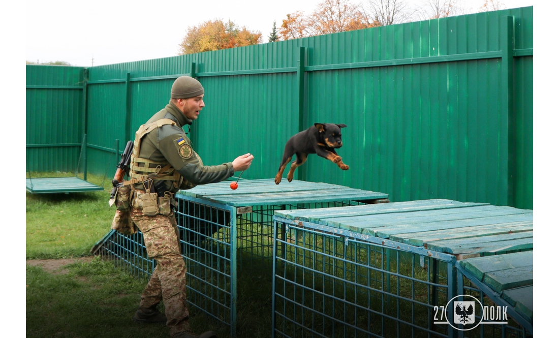 У чернігівських кінологів - дуже миле поповнення