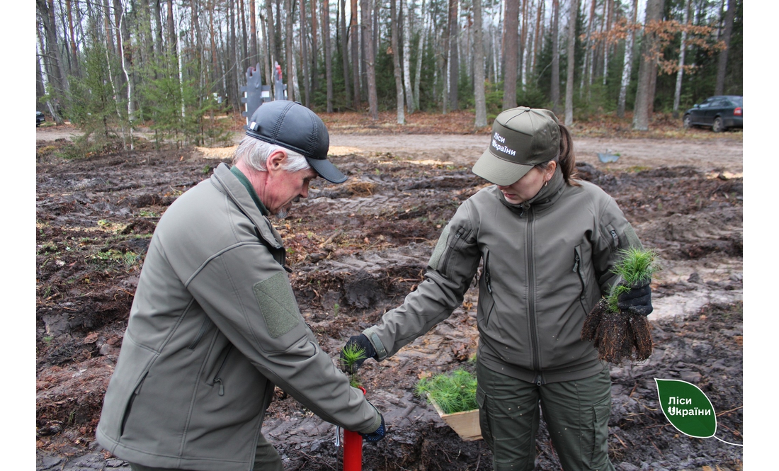 На честь загиблого воїна на Чернігівщині висадили ліс