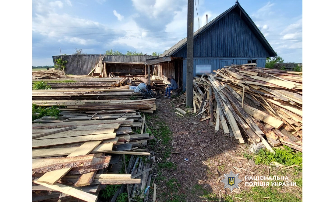 На Чернігівщині викрили лісову мафію: завдано збитків на 4 мільйони гривень