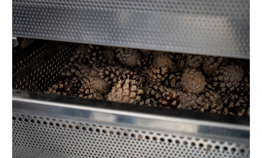 Міністр дивився, як працює найбільший в Україні лісовий селекційно-насіннєвий центр на Чернігівщині