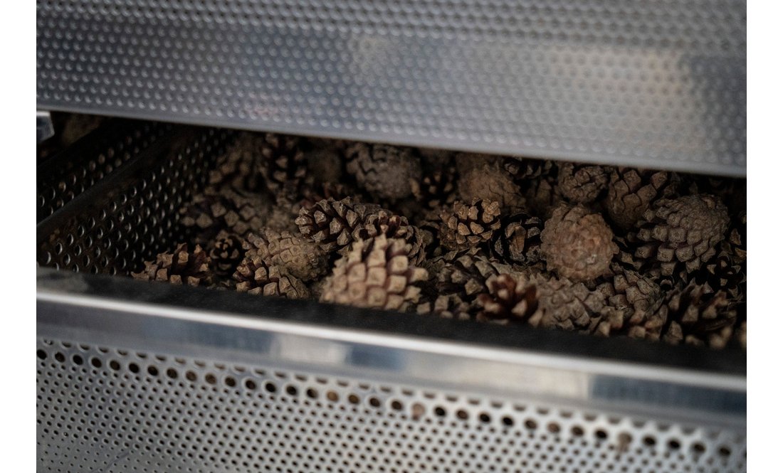 Міністр дивився, як працює найбільший в Україні лісовий селекційно-насіннєвий центр на Чернігівщині