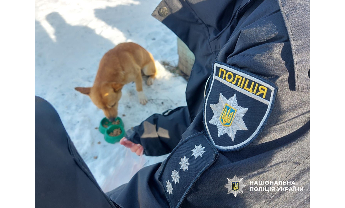 Безпритульним тваринам пережити морози допомагають… поліціянти