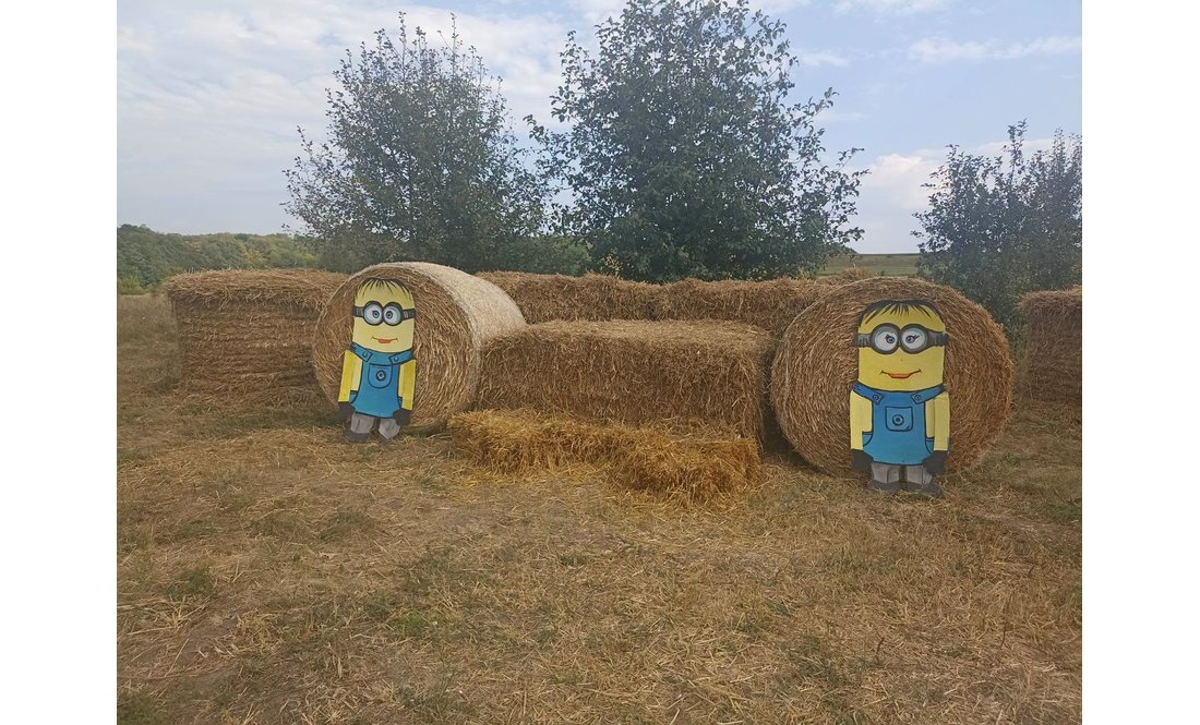 Вірусна фотозона у Манжосівці тішитиме відвідувачів до середини вересня