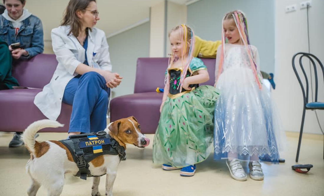 Пес-рятувальник Патрон відвідав дітей у лікарні "Охматдит"