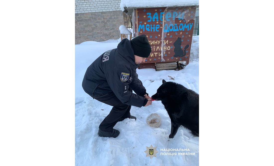 Безпритульним тваринам пережити морози допомагають… поліціянти