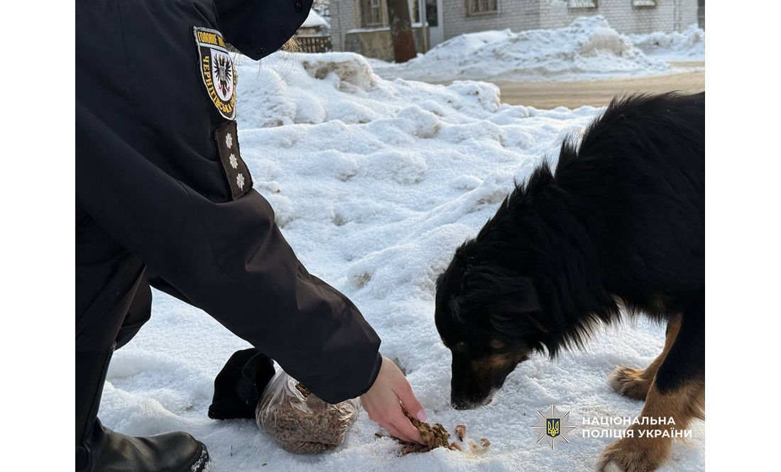 Безпритульним тваринам пережити морози допомагають… поліціянти