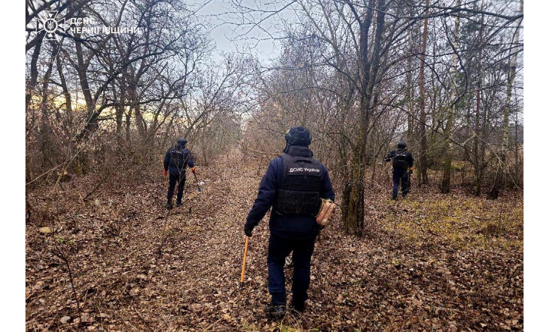 На півночі Чернігівщини сапери знищили арсенал часів Другої світової